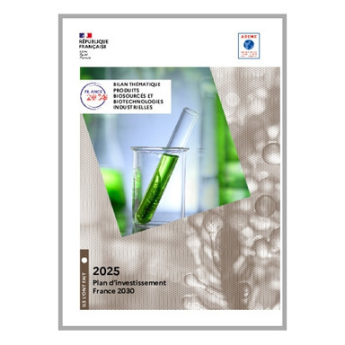 Bilan thématique produits biosourcés et biotechnologies industrielles | Innovation Agro-activités et Bio-industries | Scoop.it