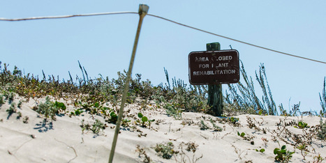 Bye-Bye, Beaches | CSU | Coastal Restoration | Scoop.it