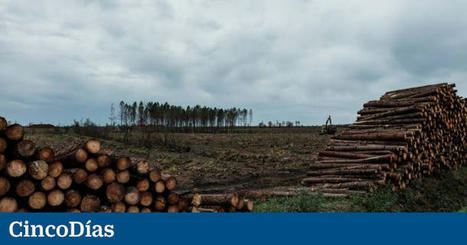 La UE acuerda un mecanismo que restringe importaciones para frenar la deforestación | Economía | Evaluación de Políticas Públicas - Actualidad y noticias | Scoop.it