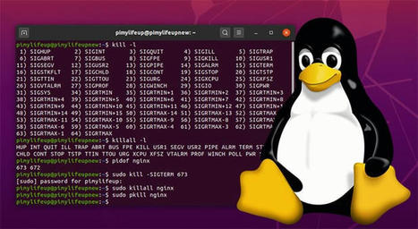 How to Kill a Process on Linux | tecno4 | Scoop.it