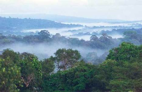 Radio : Une tribu amazonienne devient geek pour sauver la forêt | Economie Responsable et Consommation Collaborative | Scoop.it