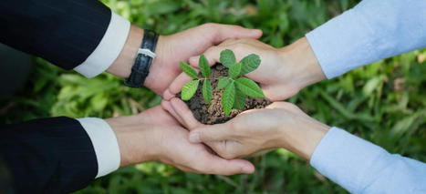 Nachhaltige Geschäftspartnersuche im Ausland mit Switzerland Global Enterprise und EcoVadis | EcoVadis in the News - German | Scoop.it