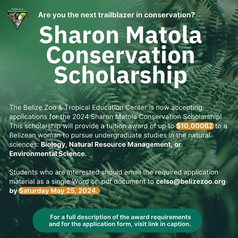 Sharon Matola Conservation Scholarship 2024 | Cayo Scoop!  The Ecology of Cayo Culture | Scoop.it