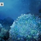 WWF - Le plastique de nos océans | Nouveaux paradigmes | Scoop.it