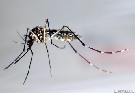 Dengue mantiene a cinco estados en situación de epidemia - Vida | Salud Publica | Scoop.it