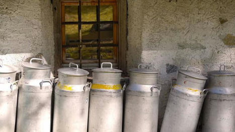 La hausse du prix du lait en France est bien moindre à la moyenne de l'UE | Economie de l'Elevage | Scoop.it
