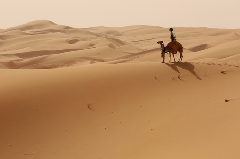 Google Maps uses camels for Street View in the desert | iGeneration - 21st Century Education (Pedagogy & Digital Innovation) | Scoop.it