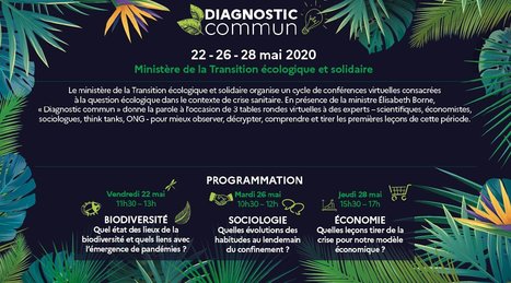 « Diagnostic commun » Cycle de conférences dématérialisées consacrée à la biodiversité dans le contexte de la crise sanitaire - vendredi 22 mai à 11h30 | Biodiversité | Scoop.it
