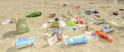 La Ciotat : des salariés volontaires nettoient la plage | Economie Responsable et Consommation Collaborative | Scoop.it