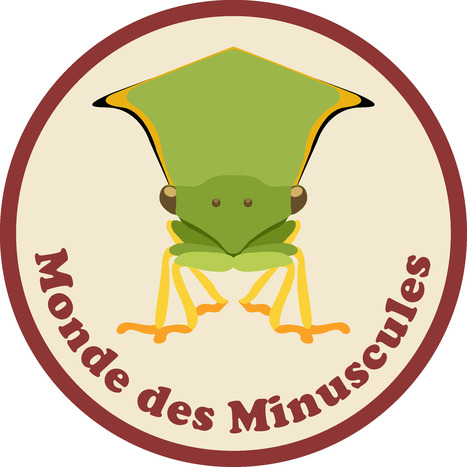 Un site pour découvrir les insectes, les étudier et les identifier | Insect Archive | Scoop.it