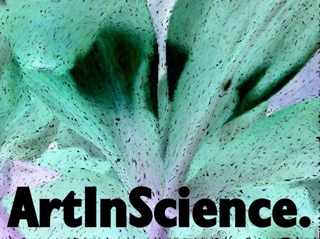 ArtScience Nexus - Curation and Funding for Art inspirated by Science / founded by Bob Nidever / #mediaart #artsci | Digital #MediaArt(s) Numérique(s) | Scoop.it