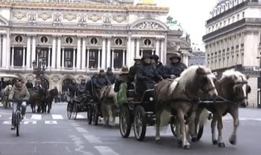 Salon du Cheval de Paris : 9 jours de folie ! / Salon / Loisirs / Accueil - Cavadeos | Salon du Cheval | Scoop.it