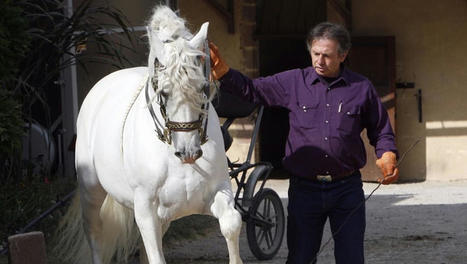 Une vedette internationale va se produire au salon du cheval à Albi | Destination Albi - revue de presse | Scoop.it