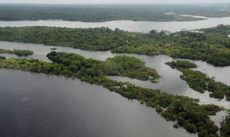 ANP faz leil&atilde;o para explorar petr&oacute;leo e g&aacute;s na bacia do rio Amazonas | Mar Sem Petr&oacute;leo | Scoop.it