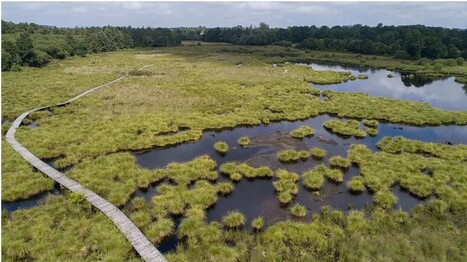 Repenser nos usages de l'eau pour un avenir durable - Les Echos | Biodiversit&eacute; | Scoop.it
