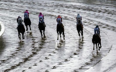 State Regulators See Steps Toward Uniformity Under HISA - BloodHorse | Racing News | Scoop.it