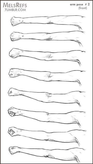 Arm Drawing Reference In Drawing References And Resources