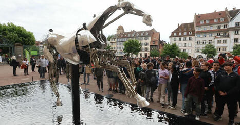 Strasbourg. Zeus, le mythique cheval des JO de Paris 2024, est arrivé sur la terrasse du palais Rohan | Strasbourg Eurométropole Actu | Scoop.it
