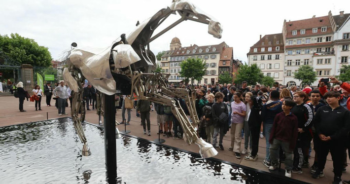 Strasbourg. Zeus, le mythique cheval des JO de Paris 2024, est arrivé sur la terrasse du palais Rohan | Nouveautés - Offre touristique Alsace | Scoop.it