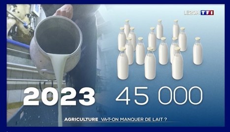 Lait : pourquoi la France pourrait bientôt devoir recourir aux importations | Lait et Produits laitiers | Scoop.it
