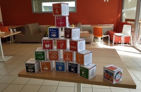 Le 25 septembre, bibliothèques et CDI mobilisés pour le développement durable | Veille pour les concours des bibliothèques | Scoop.it