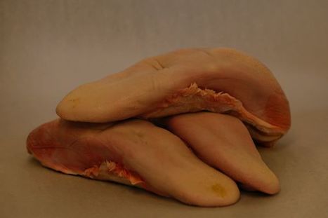 Place Beauvau, ann&eacute;e z&eacute;ro | Chronique des Droits de l'Homme | Scoop.it