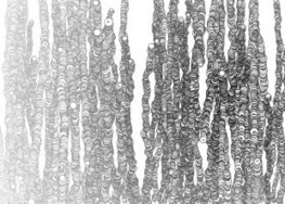 Tuto processing - Le site français des tutos sur processing | Digital #MediaArt(s) Numérique(s) | Scoop.it