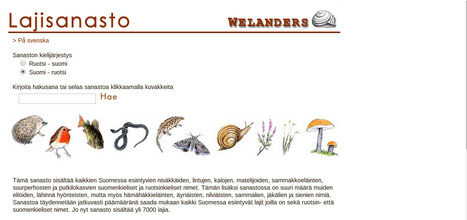 Lajisanasto | 1Uutiset - Lukemisen t&auml;hden | Scoop.it