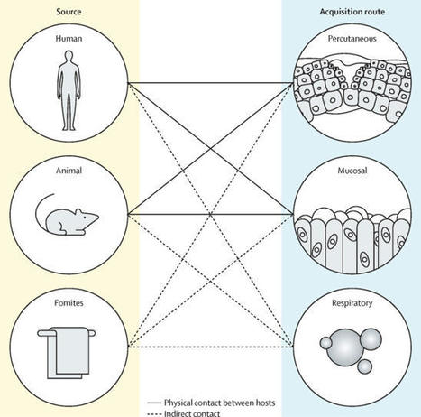 Mpox respiratory transmission: the state of the evidence | Veille MPox | Scoop.it