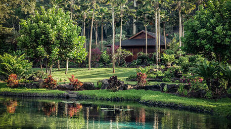 How 6 Hotels Celebrate Earth Day Every Day | Best  Healthy Living Scoops | Scoop.it