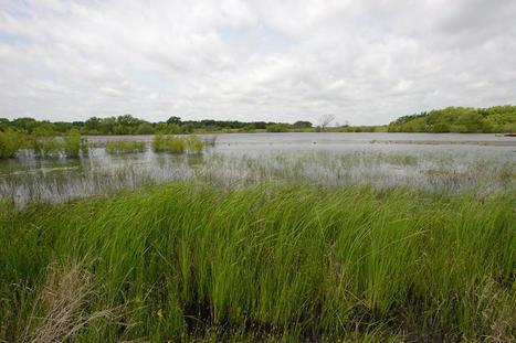 Half the nation’s wetlands just lost federal protection. Their fate is up to states. - Stateline.org | Agents of Behemoth | Scoop.it