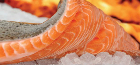 PHILIPPINES: Seafood producer turns around and reports profit | Coastal Restoration | Scoop.it