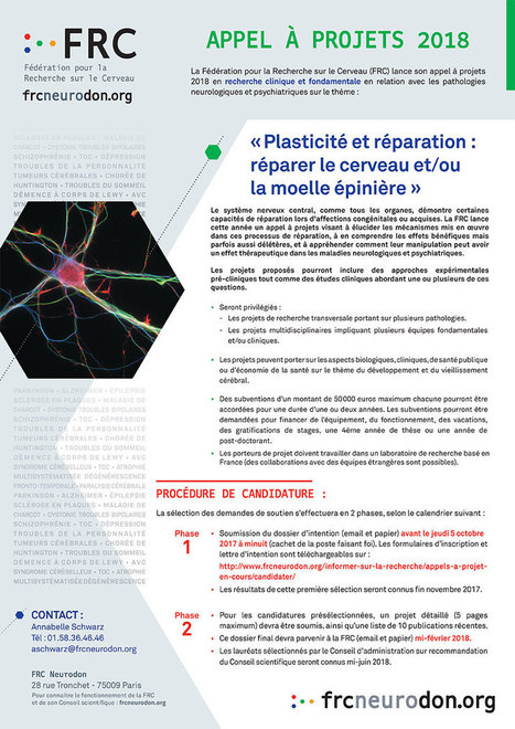 Fédération pour la recherche sur le cerveau - Appel à projets | Life Sciences Université Paris-Saclay | Scoop.it