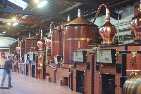 Cognac : Le parc des alambics se modernise - Actualités - La Vigne Mobile | Le Cognac et son vignoble | Scoop.it