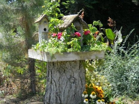 Don't grind that tree stump! | Upcycled Garden Style | Scoop.it