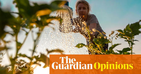 Cop27 is here and the climate crisis is daunting but here’s the key to tackling it – cheer up  | Isabel Losada | The Guardian | Stage 6 HSC Geography ( Current syllabus) | Scoop.it