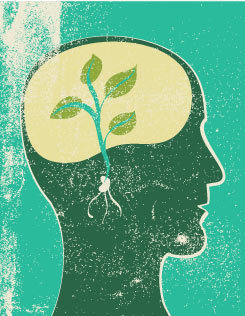 Neuroplasticity: Learning Physically Changes the Brain | Edutopia | Educational Psychology, AI, & Emerging Technologies: Critical Thinking on Current Trends | Scoop.it