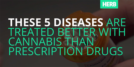 Watch: 5 Diseases That Cannabis Can Help - HERB | Marijuana, Cannabis, Longevity, Legacy | Scoop.it
