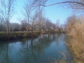 Blog de RRHH, Ximo Salas Sistemas Humanos: RRHH 2.0 &iquest;El Human Community? | Yo Community Manager | Scoop.it