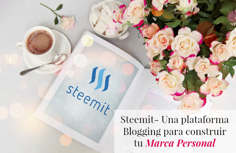Steemit- Una plataforma Blogging para construir tu Marca Personal - @AnabellHilarski | Business Improvement and Social media | Scoop.it