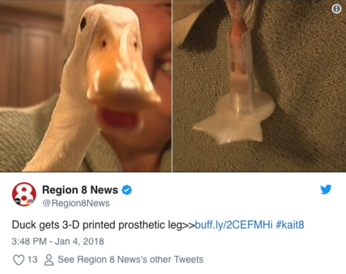 Duck Peg gets 3D-printed leg | WHY IT MATTERS: Digital Transformation | Scoop.it