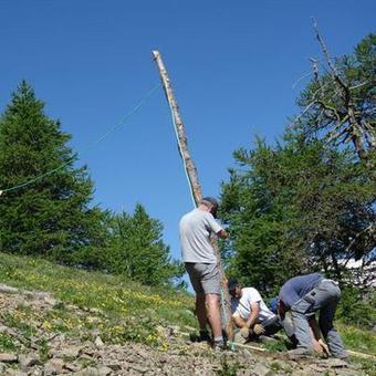 Foisonnement estival dans les Écrins | Biodiversité | Scoop.it