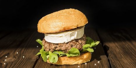 Nourriture : créer un hamburger | Les Zexperts FLE | FLEursdeFLE | Scoop.it