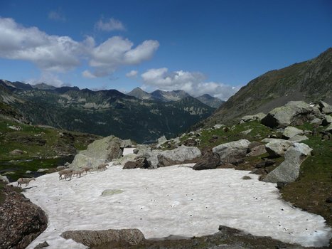 N&eacute;v&eacute; &agrave; Estaragne le 22 juillet 2014 - Photo Simone Fr&eacute;chou | Vall&eacute;es d'Aure & Louron - Pyr&eacute;n&eacute;es | Scoop.it