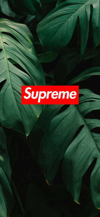 Supreme Iphone Wallpaper In Freexwallpaper Scoop It