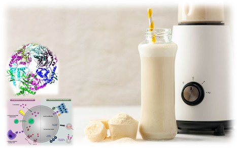 Exosomm se tourne vers le lait maternel pour un nouvel ingrédient bioactif | Lait de Normandie... et d'ailleurs | Scoop.it