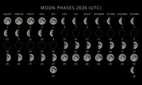 #artificiallightatnight #lightpollution #circadianrhythm #moonlight #menstrualcycle #coralreefs | Hynek Medřick&yacute; | LIGHTING-Innovation-Design | Scoop.it