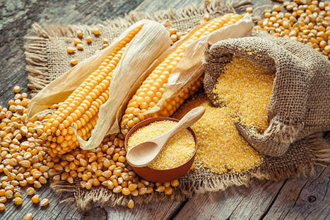 EU records worst corn harvest in 20 years at 50.2 mln tons - | MED-Amin network | Scoop.it