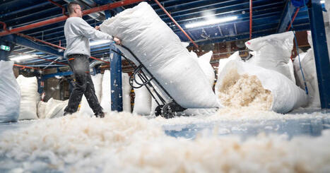 Un assistant IA pour faciliter l&rsquo;export des PME en Pays de la Loire - R&eacute;gion Pays de la Loire | Pour innover en agriculture | Scoop.it