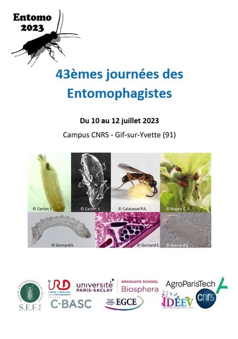 Les prochaines "Journées des Entomophagistes" se tiendront les 10, 11 et 12 Juillet 2023, sur le campus CNRS de Gif-sur-Yvette | EntomoScience | Scoop.it